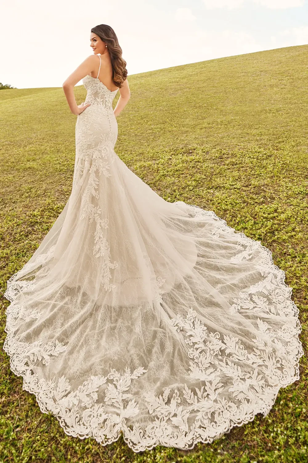 Cambria - Martin Thornburg Wedding Dress - White Rose Bridal Newark NJ (view 2)